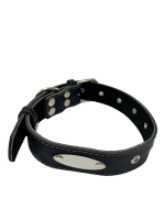 К0856 Ошейник 35мм р/п Адресник Дакель (синий)