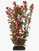 Растение "Людвигия", красно-зеленое, 300мм, Laguna