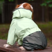 Комбинезон-дождевик "Киви" Gamma (S, 22 см)