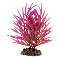 2011 Растение Хакая 20см Триол