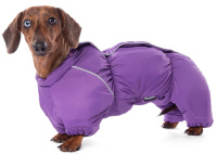 Gamma Комбинезон зимний "Такса"фиолетовый (L, 46см)