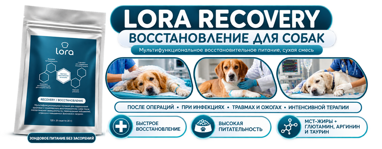 Lora Recovery восстановительное питание для собак
