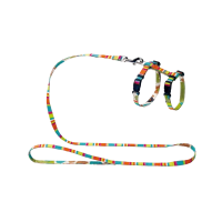 4add0de35cb849f06a640048f7828aca-no-bg-preview (carve.photos)