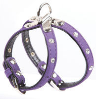 5624110 Шлейка Дейзи для собак М