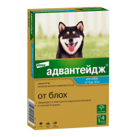 0.Advantage dog 4-10 4pip_face