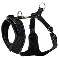 ofapgtqk53xd411qutggpsinqosjczn4