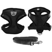 k97ordhesvpm6w3b9mtaqa4cb4plcv6h