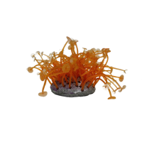 Коралл по 600 цветной средний в коробке [131]