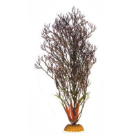030/20см Plant черное растение Барбус