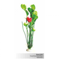 BARBUS 018/30 см. Plant зеленое с цветком растение