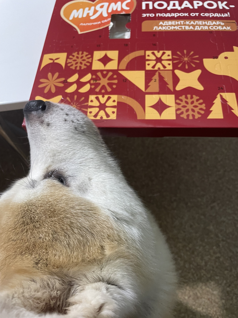 fz3c095h5d57cgl2ttrccb2o9kqq55nm.jpeg fz3c095h5d57cgl2ttrccb2o9kqq55nm.jpeg