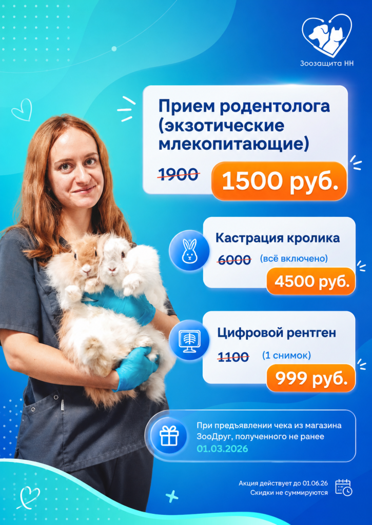 749BDBC9-165D-4388-A387-6434EA7C2210.png