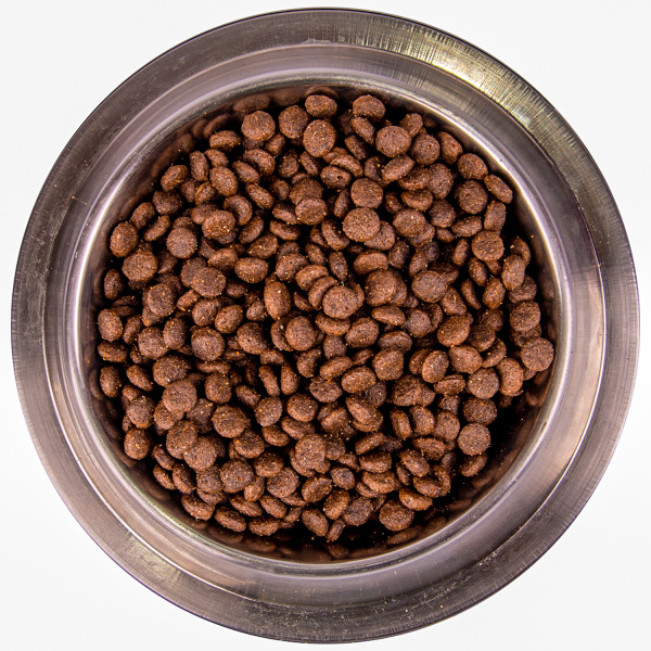 Monge Dog BWild LOW GRAIN Puppy & junior низкозерновой корм из мяса оленя для щенков всех пород (2,5 кг)