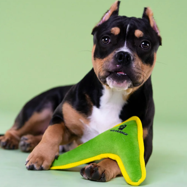 Игрушка Mr.Kranch для собак средних и крупных пород Бумеранг с пищалкой 34х28,5х6,5 см (зеленый)