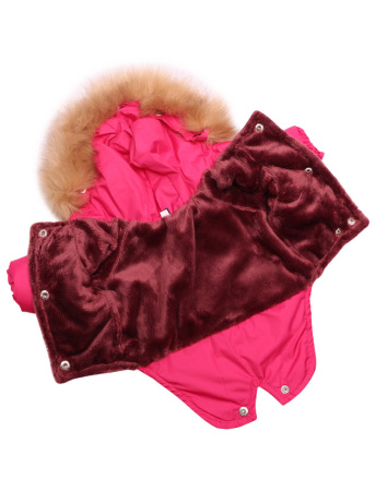 Зимняя куртка для собак Lion Winter парка LP062 (Размер S 20 см)