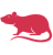 Грызунам и хорькам