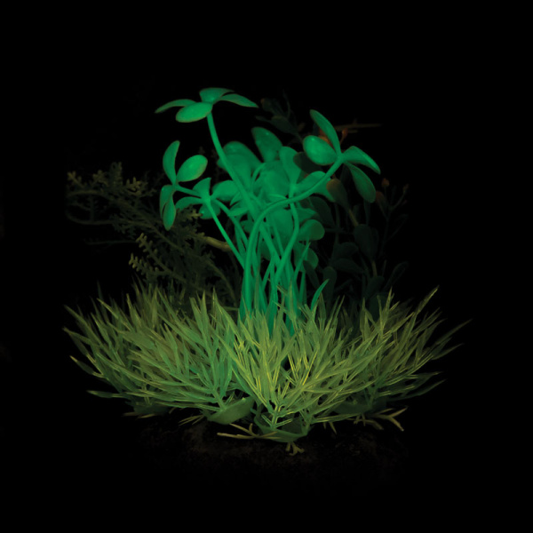 Композиция из светящихся растений, желто-бирюзовая (120мм)