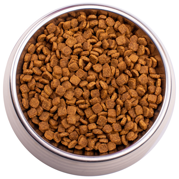 Джемон Cat Indoor корм для домашних кошек с курицей и рисом (400 гр)