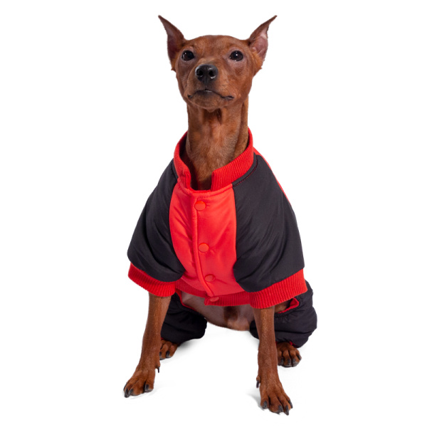 Комбинезон зимний Marvel Человек-паук (S, размер 25см)