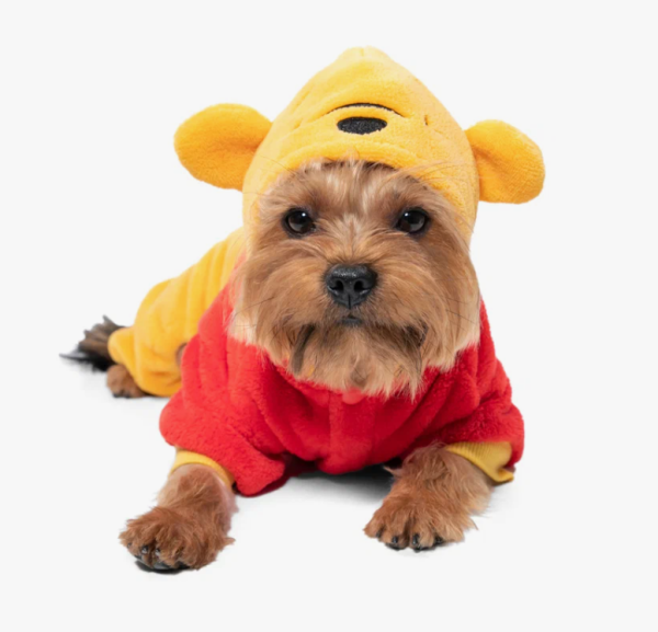 Костюм демисезонный Disney Fun Winnie-the-Pooh Triol-Disney (XS, размер 20см)